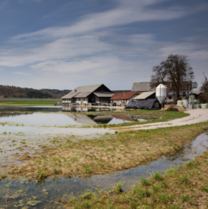 Cover photo for Floodwater Effects on Gardens & Soil